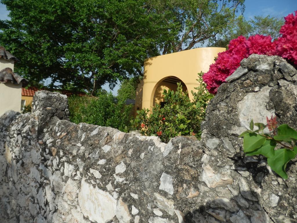 Ochenta Y Dos Bed&Breakfast&Spa Mérida Exterior foto